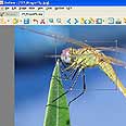 XnView. ארגז כלים שלם 