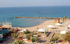 צילום: מיכל כרמון