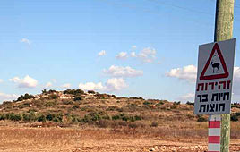 צילום: גילי סופר