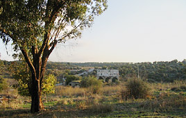 צילום: שגיא קופר
