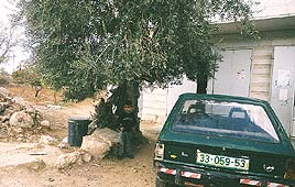 צילום: חנה קלדרון