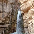 מדבר יהודה: נחל ערוגות צילום: יפה רזיאל