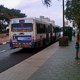 האוטובוס שדרס צילום: אבי כהן