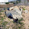 ערימת אזבסט בשטח פתוח בנהריה באדיבות "אזרחים למען איכות חיים וסביבה בנהריה"