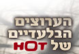הוט וי.או.די