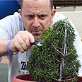 מישל מפסל צילום: שי רוזנצוויג