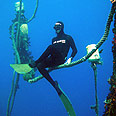 צוללים בלי מיכלים צילום: apnea.co.il