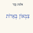 "צמאון בארות", עטיפת הספר 