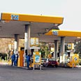 צילום: עופר עמרם
