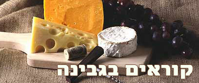 צילום: ויז'ואל/פוטוס