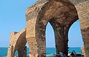 צילום: חנן ישכר