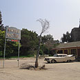הסט של "פסיכו" באולפני יוניברסל צילום: אילנה פישר