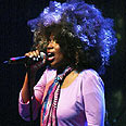 מייסי גריי. גם פעילה חברתית צילום: Gettyimages Imagebank