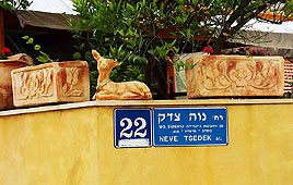 צילום: שרה לשם
