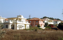 צילום: אלעד גרשגורן