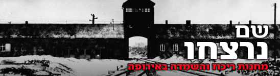 צילום: איי פי