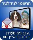 צילום: ויז'ואל/פוטוס