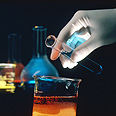  צילום: liqud library