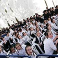 תלמידים חרדים צילום: דודי ועקנין