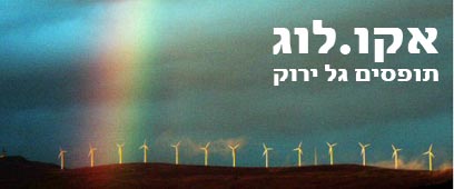 צילום: רויטרס