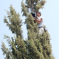 קוזי מחלץ את החתולה צילום: מסרי עומר