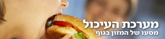 צילום: ויז'ואל/פוטוס