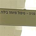 צילום: עידו בקר