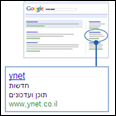 גוגל: מלכת הפרסום המקוון 