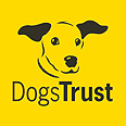 DogTrust - פועלים למען הכלבים באדיבות dogstrust