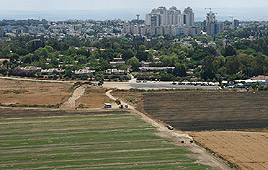 צילום: עמית שעל
