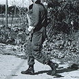 צילום: עודד ידעיה