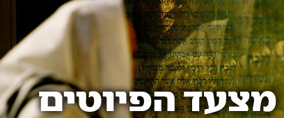 צילום: רויטרס