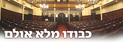 צילום: ישראל ברדוגו
