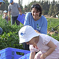 צילום: נטע מאיר