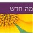 מעוצב אך לא שימושי. סלקום צילום מסך