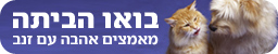 צילום: CD בנק