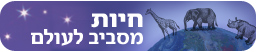 צילום: ויז'ואל פוטוס