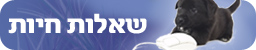 צילום: ויז'ואל פוטוס