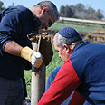 רקטה רקטת קסאם מועצה אזורית שער הנגב (צילום: זאב טרכטמן)