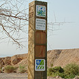 מסלול להליכה בריאותית צילום: טלילה ליבשיץ, קק"ל