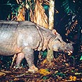  צילום: WWF - Canon