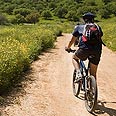  צילום: נדב רותם