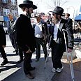 ארה"ב ניו-יורק ברוקלין אמיש (צילום: AP)
