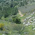 קרב אבוד: הרכבת תעבור מעל נחל יתלה באדיבות החברה להגנת הטבע