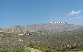 צילום: טל רבינובסקי
