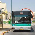 איחורים כרוניים וצפיפות מעיקה צילום: הרצל יוסף