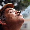מריחואנה חשיש סמים יום מריחואנה בינלאומי קולומביה (צילום: AP)