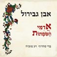 חום שמפשיר את גבולות הזמנים עטיפת האלבום