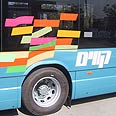 צילום: גל אילן