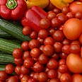 ירקות פירות (צילום: jupiter)